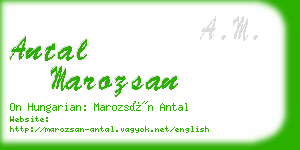 antal marozsan business card